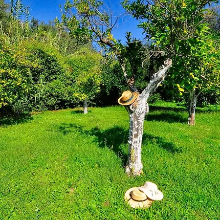 Portico Private With Pool | Corfu * לפקימי